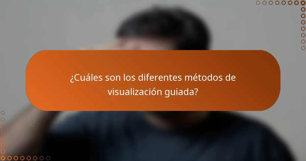¿Cuáles son los diferentes métodos de visualización guiada?